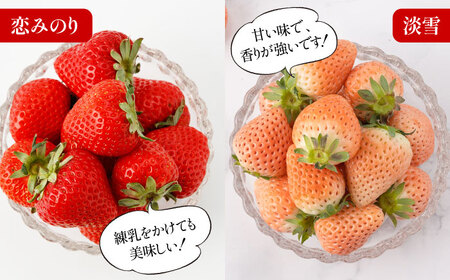 【全4回定期便】希少いちご（恋みのり・パールホワイト・淡雪・冷凍いちご）食べ比べ / 苺 果物 フルーツ / 佐賀県 [41AAZZ003]