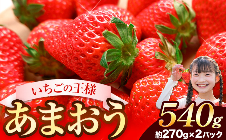 
★2025年出荷分★【先行予約】いちご あまおう 大容量産あまおう 540g 【着日指定不可】《3月中旬-4月末頃出荷予定》 いちご
