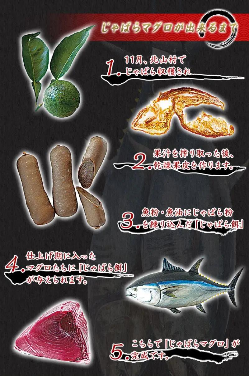 まぐろ 本マグロ（養殖） トロ＆赤身セット 1350g【nks111】