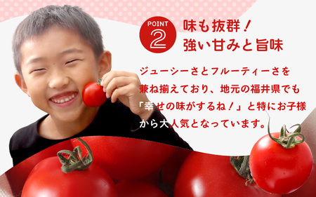 じっくり旨味を蓄えた思わず笑顔が溢れる フルーティートマト 1kg 【とまと ミディトマト 中玉トマト 野菜 やさい 新鮮 生食 アレンジ ジャム トマトソース サラダ 産地直送 国産】 [A-162