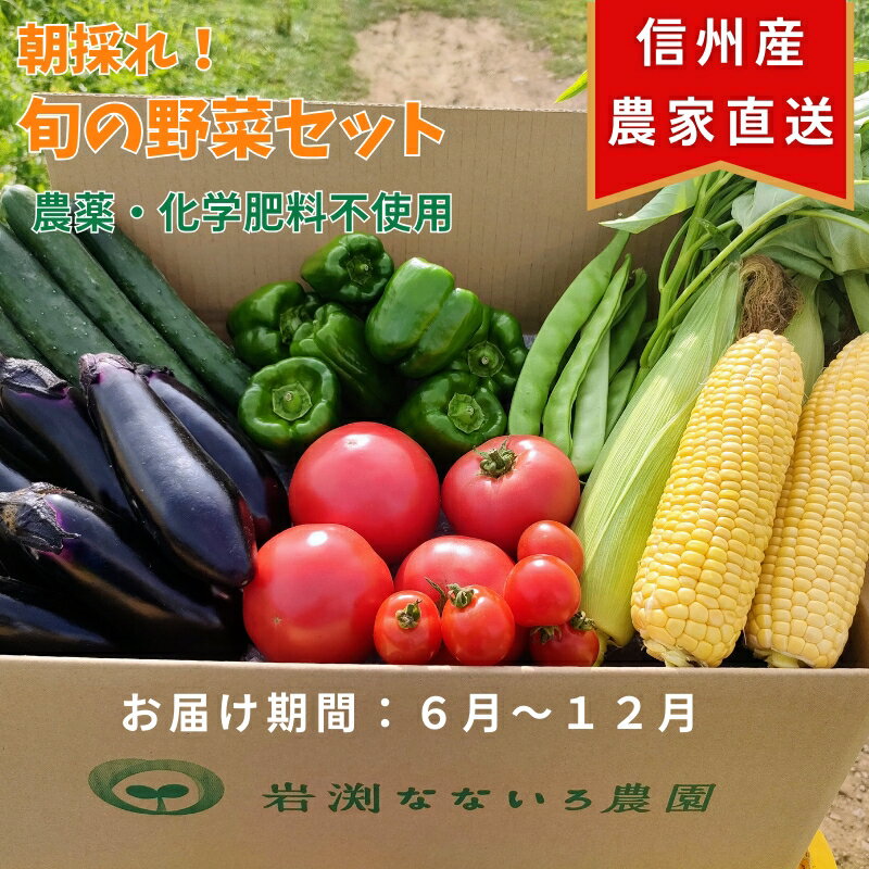 【ふるさと納税】【産地直送・新鮮】朝採れおまかせ旬の高原野菜 7種セット (出荷時期 : 2026年6月～12月／北海道・沖縄県・離島は配送不可) 　| 信州 栽培期間中 無農薬 産直 季節 旬 岩渕なないろ農園 旬彩