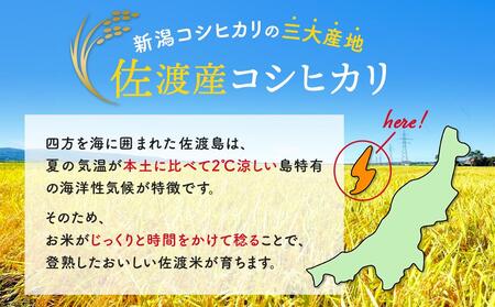 無洗米30kg 新潟県佐渡産コシヒカリ30kg(5kg×6)×9回「9カ月定期便」