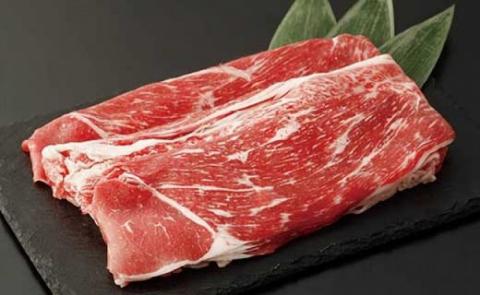 【矢野畜産】詰め合わせBセット 産地直送 くまもと 国産 熊本 阿蘇 和牛 あか牛 褐毛和種 あかげわしゅ 赤身 旨み凝縮 切り落とし 500g すき焼き しゃぶしゃぶ 500g 計1kg 矢野畜産 