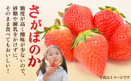 【1月中旬～2月中旬発送】佐賀県自慢の2種！さがほのか＆いちごさん 平パック4P 約1kg いちご 果物 旬 イチゴ 苺 フルーツ 佐賀県産 佐賀産 佐賀 吉野ヶ里町/リエンサーク [FCC004]