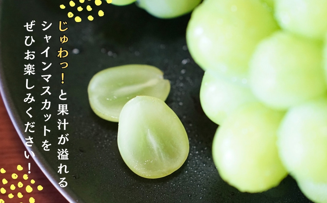 【先行予約】農家直送【糖度18度以上】シャインマスカット（1房600g）