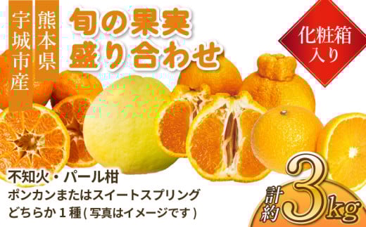 先行予約 みかん 旬の果実盛り合わせ（化粧箱入り）3kg 髙橋果樹園【2025年12月上旬から3月下旬発送予定】パール柑 ポンカン スイートスプリング 柑橘 詰め合わせ 宇城市 高橋果樹園 しらぬい みかん  ミカン 柑橘 熊本県産  国産