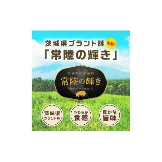常陸の輝き バラエティ 9品 ( ハム ベーコン ソーセージ ) 豚肉 お取り寄せ グルメ 人気 冷蔵 詰め合わせ ギフト おかず ご当地グルメ ディナー 食べ比べ パーティー【茨城県共通返礼品/つく