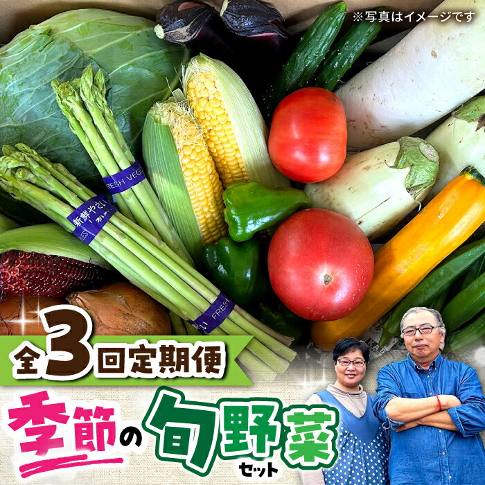 【ふるさと納税】【全3回定期便】 農家自慢 季節の野菜セット / 詰め合わせ 野菜 やさい 野菜セット 野菜詰め合わせ 旬 春野菜 夏野菜 秋野菜 野菜定期便 / 大村市 / 産直松吉[ACZC004]
