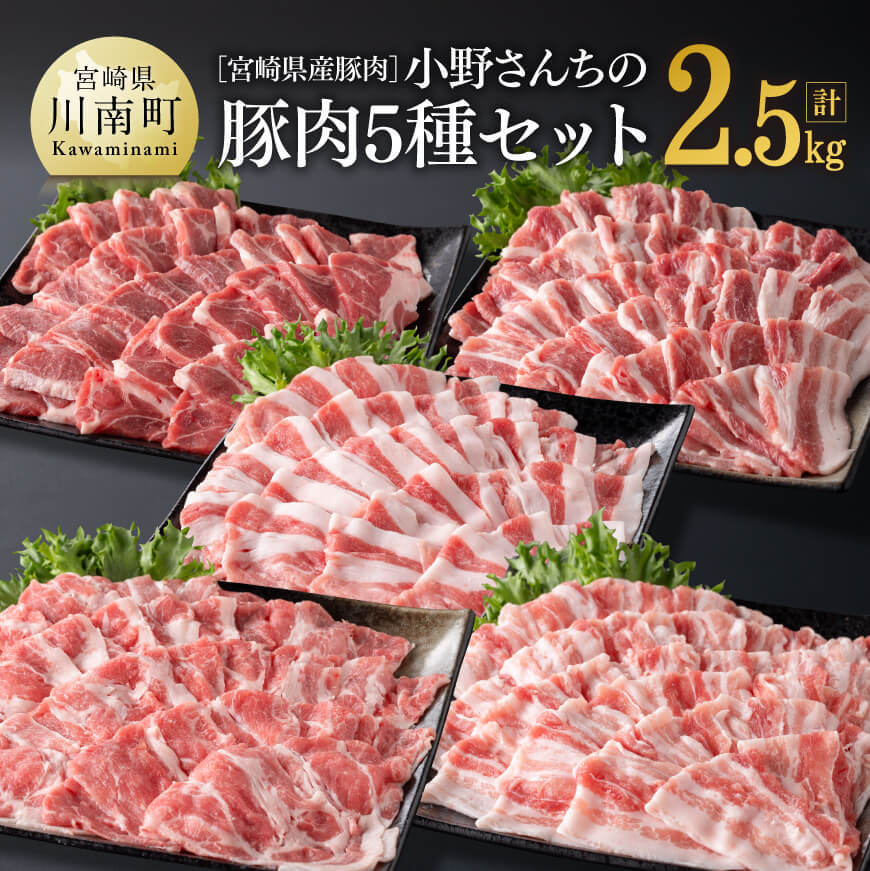 宮崎県産豚肉小野さんちの"豚肉５種セット” 2.5kg　肉 豚肉 しゃぶしゃぶ[E10506]