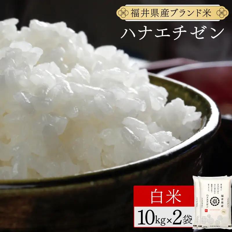 福井県産 ハナエチゼン 精米 20kg（10kg×2）＜令和8年産＞[095-a626]