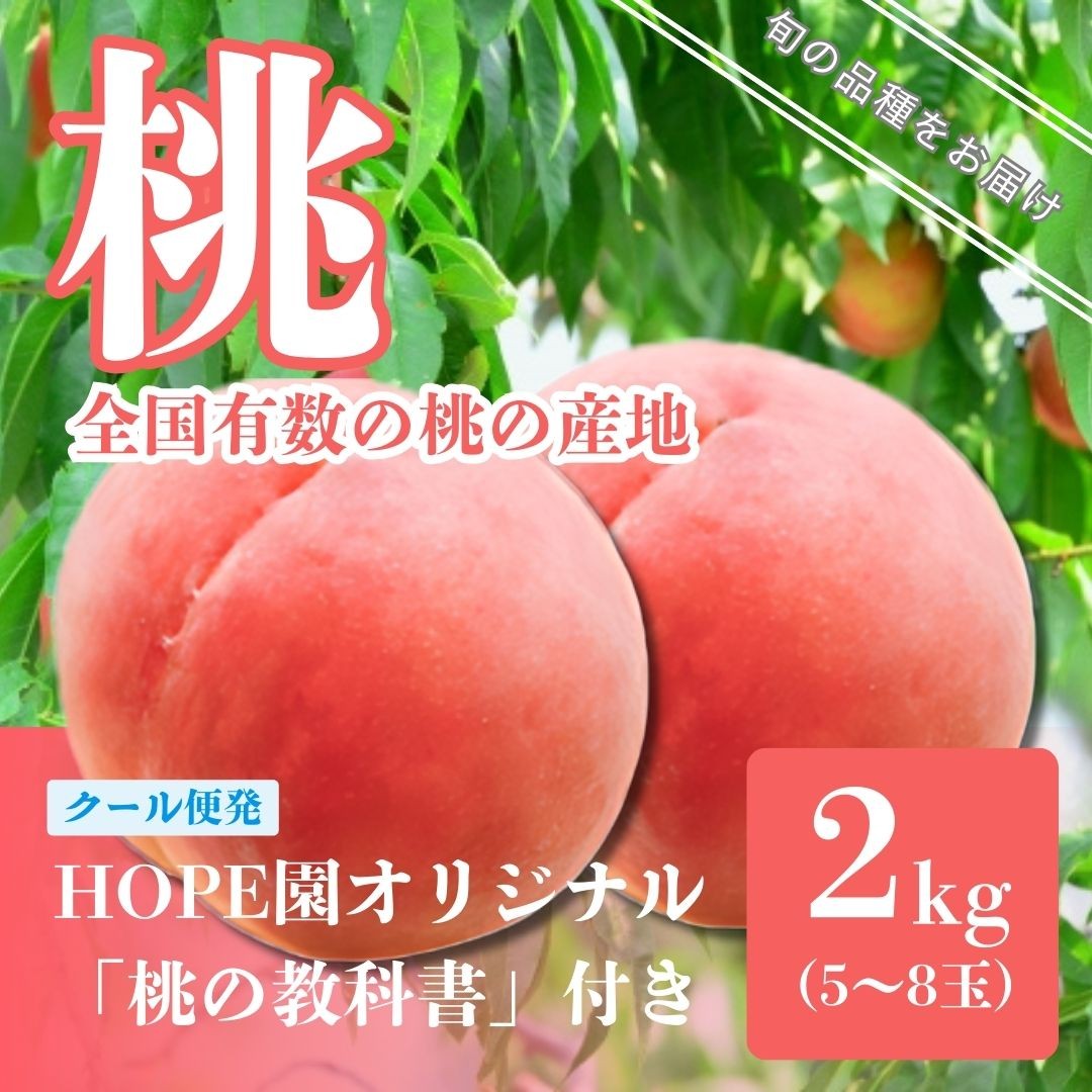 
                  【2026年発送★先行予約】　安心のクール便発送 桃 2kg 5～8玉 ふるさと納税 もも 桃 笛吹市 国産 人気 期間限定 果物 フルーツ 旬 ギフト 贈り物 記念日 山梨県  226-002
                