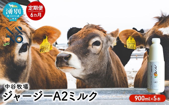 
[№5930-0324]【6カ月定期便】中谷牧場 ジャージーA2ミルク　900ml×5本
