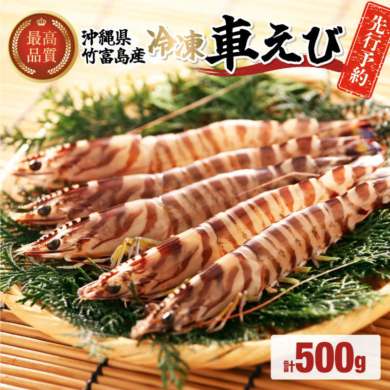 先行予約 車えび 500g 竹富島産 冷凍車えび