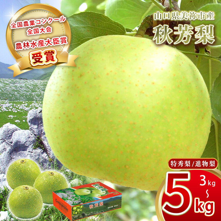 【ふるさと納税】 美祢市産 秋芳梨 ( 進物梨 / 特秀梨 ) 約 3kg 5kg 先行予約 〈2025年8月下旬より順次発送予定〉 ｜ 二十世紀 なし 梨 フルーツ 特産品 美祢市 山口県 美祢 秋芳町 秋芳梨 特秀 特秀梨 贈答 果物 くだもの 果実 カルスト台地 先行予約 期間限定 3kg 5kg