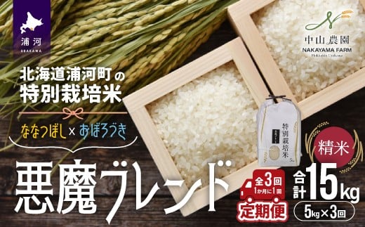 
            【先行受付開始！】北海道浦河町の特別栽培米「悪魔ブレンド」精米(5kg×1袋)定期便(全3回)[37-1496]
          