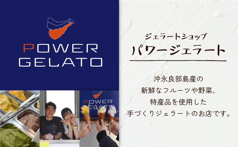 POWER GELATO 沖永良部島産（黒糖）90ml×10個入り　W066-006-02