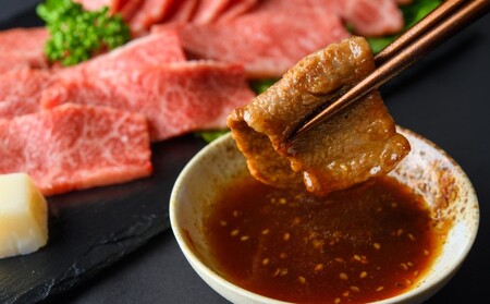 博多和牛 訳あり ロース カルビ 焼肉 切り落とし 博多和牛【500g】【定期便6回】