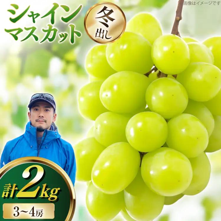 【期間限定発送】 シャインマスカット 冬出し 3～4房 約2kg [井上農園 山形県 高畠町 tk06box920000]