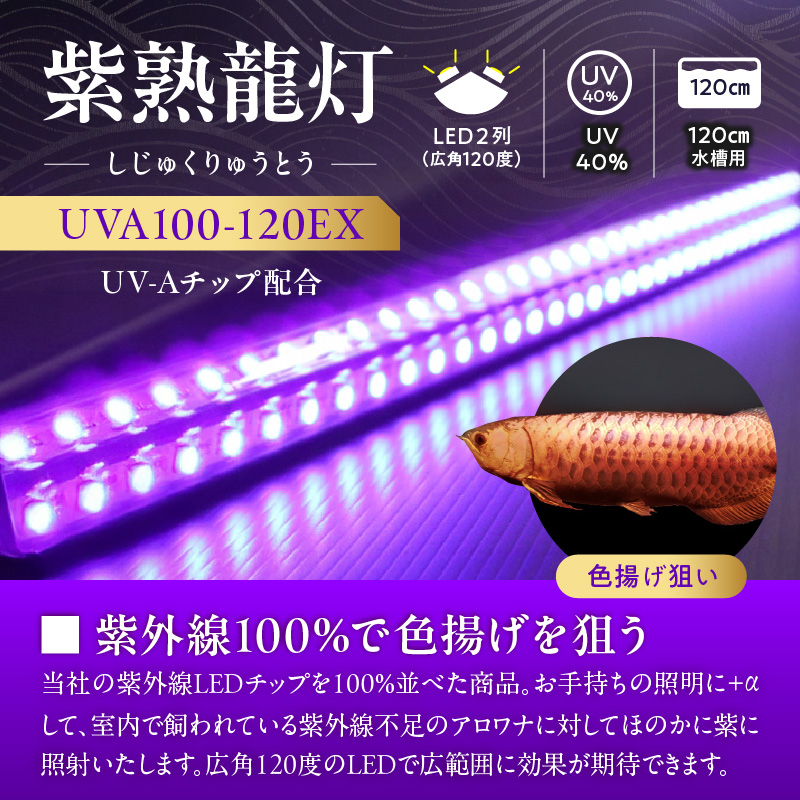 紫外線100%LEDで紅龍・金龍の色彩を引出す水中ライト|UVA100-120EX 紅龍 金龍 ナイトメロー 水中 アロワナ 水槽ライト テンニングライト 紫外線 100% LED ライト 照明 水中照明 光 綺麗 強化ガラス 吸盤 1年保証 簡単 設置 でんらい インテリア 雑貨 愛知県 小牧市 送料無料