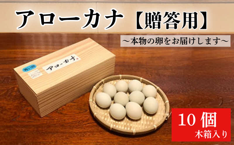 【ふるさと納税】アローカナ 鶏卵 10個