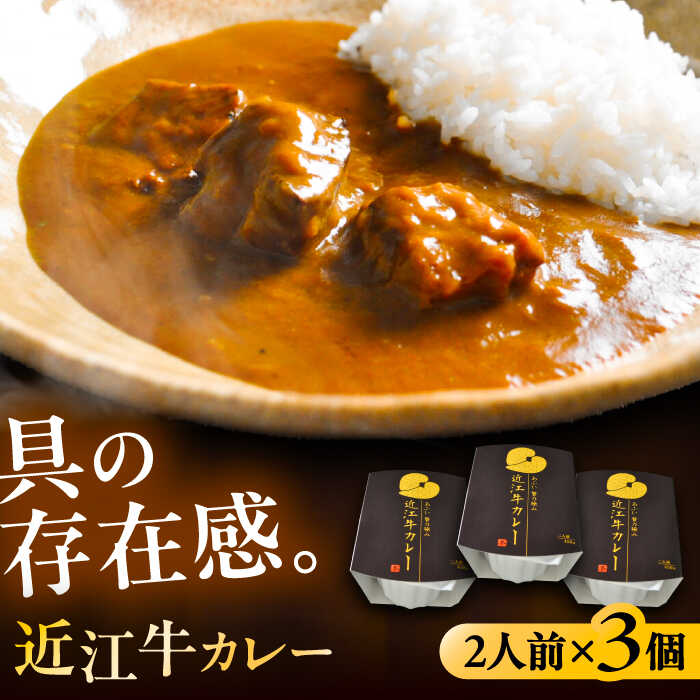 【ふるさと納税】-あふひ 贅の極み- 近江牛カレー レトルト 2人前×3個セット レトルト カレー 牛肉 和牛 ブランド牛 高級用 人気 おすすめ 簡単 調理 長期保存 カレー カレーライス レトルトカレー ビーフカレー 保存食 恵那市 / テンポイント[AUEU020]