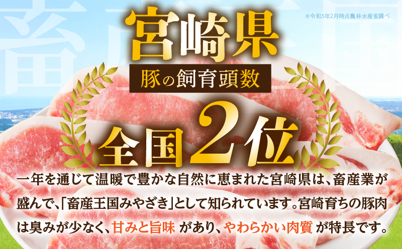 ≪宮崎県産≫豚肉6種＼てげスゲーセット／合計4.5kg 肉 豚 豚肉 おかず 国産_T009-032【人気 ギフト 食品 お肉 しゃぶしゃぶ 贈り物 お土産 送料無料 プレゼント】