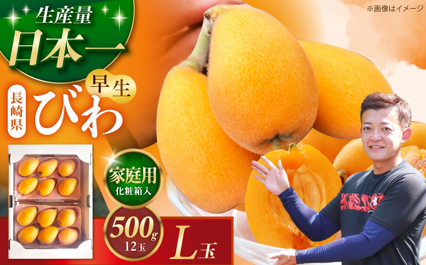 
                  【先行予約】長崎県産ハウスびわ(早生) 500g L玉 家庭用 長崎県/森保農園 [42AACO004] びわ ビワ 枇杷 長崎 季節もの フルーツ 果物 先行予約
                