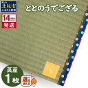 【ふるさと納税】《14営業日以内に発送》ととのうでござる 茣蓙 ゴザ 1枚 ( 畳 ござ サウナ サウナマット い草 一人用 コンパクト ラグ インテリア )