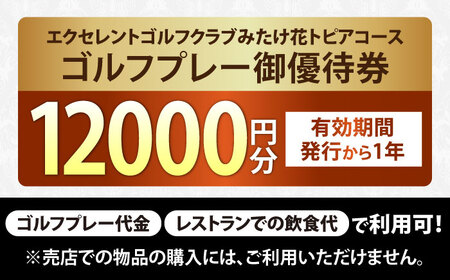 エクセレントゴルフクラブみたけ花トピアコースゴルフプレー割引券1万2千円分（寄附金区分4万円） [AVAJ004]