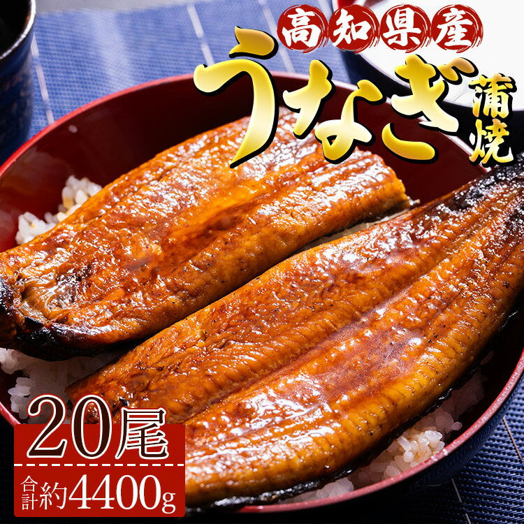【ふるさと納税】高知県産養殖うなぎ蒲焼 20尾(合計約4400g)- 土用の丑の日 鰻 ウナギ 蒲焼き かば焼き かばやき うな丼 うな重 ギフト お礼 御礼 感謝 プレゼント 送料無料 須崎市道の駅 高知県 香南市【冷凍】ss-0038