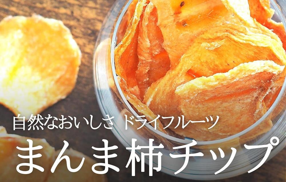 
            ドライフルーツ 柿チップ 800g ( 40g × 20袋 ) 和歌山県産 果物使用 自社製造 【みかんの会】
          