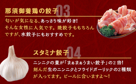 宇都宮餃子 運気アップ餃子 ニンニクマシマシ スタミナ餃子 18個 保存料不使用【冷凍餃子 ぎょうざ ギョウザ 冷凍食品 惣菜 栃木県 宇都宮市 】※配送不可地域：離島