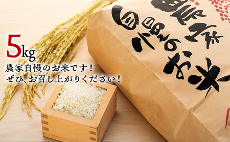 信州立科産コシヒカリ5kg（令和6年産米）　数量限定