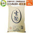 【ふるさと納税】【令和6年産・玄米】宮城県栗原市産 ひとめぼれ 10kg (10kg×1袋)