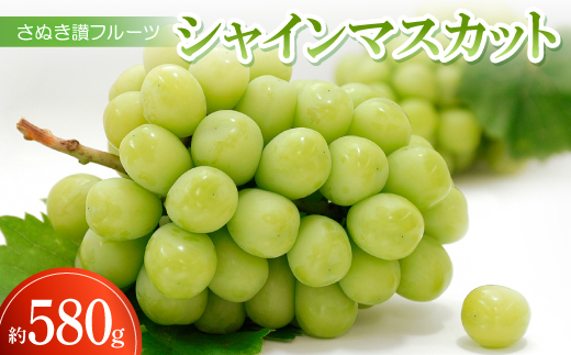 さぬき讃フルーツ「シャインマスカット」約580g ＜令和8年7～10月発送＞【1609824】