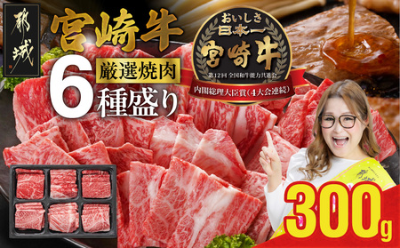 宮崎牛6種盛り焼肉食べ比べ300g+豚肉ハンバーグ&ウィンナー_16-N204-ESHW-CF_(都城市) 宮崎県産宮崎牛 サーロイン リブ ウデ モモ バラ 肩ロース 焼肉 焼肉 焼肉 焼肉 焼肉 牛肉 肉