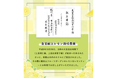 観音山レモン 4kg(30玉-40玉前後) 有限会社柑香園《2024年10月中旬-2025年3月末頃出荷》和歌山県 紀の川市 フルーツ 果物 柑橘 檸檬 レモン