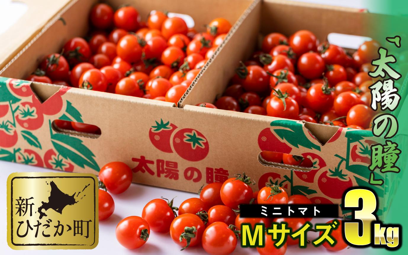 
                  ＜ 9/15までの受付 ＞ 北海道産 ミニトマト 太陽の瞳 M サイズ 3kg 新ひだか町
                