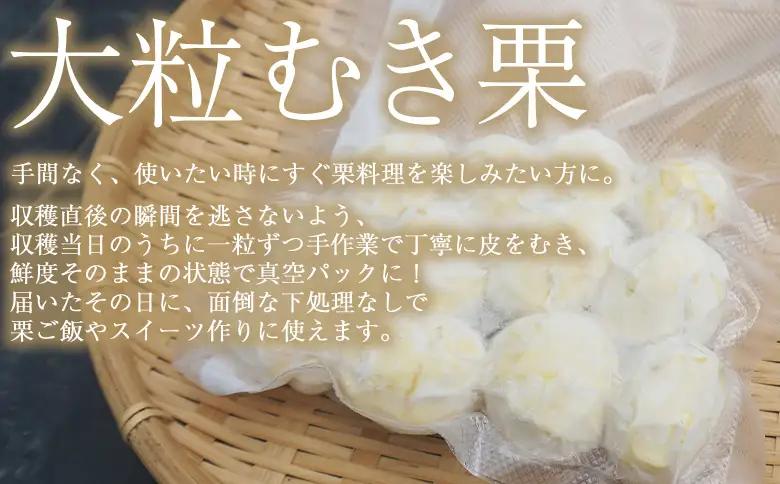 ＜大粒生栗＆むき栗 合計約2.34kg＞『9月上旬から順次出荷予定』 和栗 生栗 くり おおつぶ 大きい 甘い 新鮮 栗ごはん 栗きんとん 剥き栗 甘露煮 旬 国産栗 お取り寄せ 旬 特産品 国産 秋