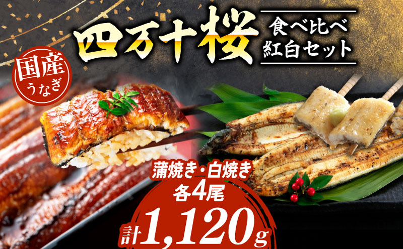【通常用】極上国産うなぎ四万十桜 食べ比べ紅白セット 蒲焼き 白焼き 約140g各4尾 | 完全無投薬 うなぎ 鰻 紅白セット 国産 調理済み タレ付き ギフト 土用の丑の日 お歳暮 お正月 高級 人気 お取り寄せ グルメ 食べ比べ 冷凍 家庭用