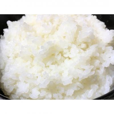 ふるさと納税 三条市 令和7年産米 新潟越後 自然栽培米コシヒカリ 10kg(5kg×2袋)数量限定【031S010】 |  | 01