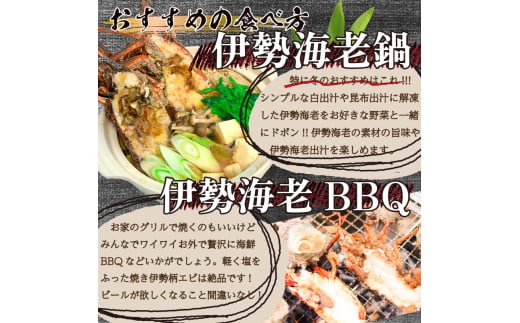 ハーフカット伊勢海老  6ピース2.1kg以上 冷凍 ( 特大サイズ 急速冷凍 えび エビ 高級 鮮魚 海鮮 魚介 刺身 焼き物 汁物 ギフト 贈答 贈り物 祝い 歳暮 中元 年末 年始 早期 予約 