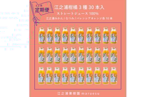 定期便６回 小田原産江之浦みかんジュース３種のみくらべ３０本セット うんしゅう・なつみ・バレンシアオレンジ１００％ストレートジュース１８０ml各１０本合計３０本