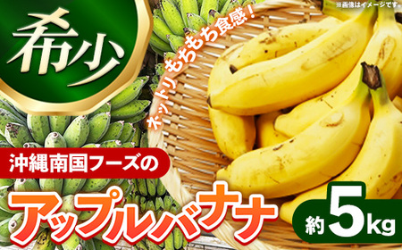 国産 希少種！南国フーズのアップルバナナ 約5kg - ばなな 小ぶり 沖縄県産 産地直送 朝食 おすすめ 八重瀬町