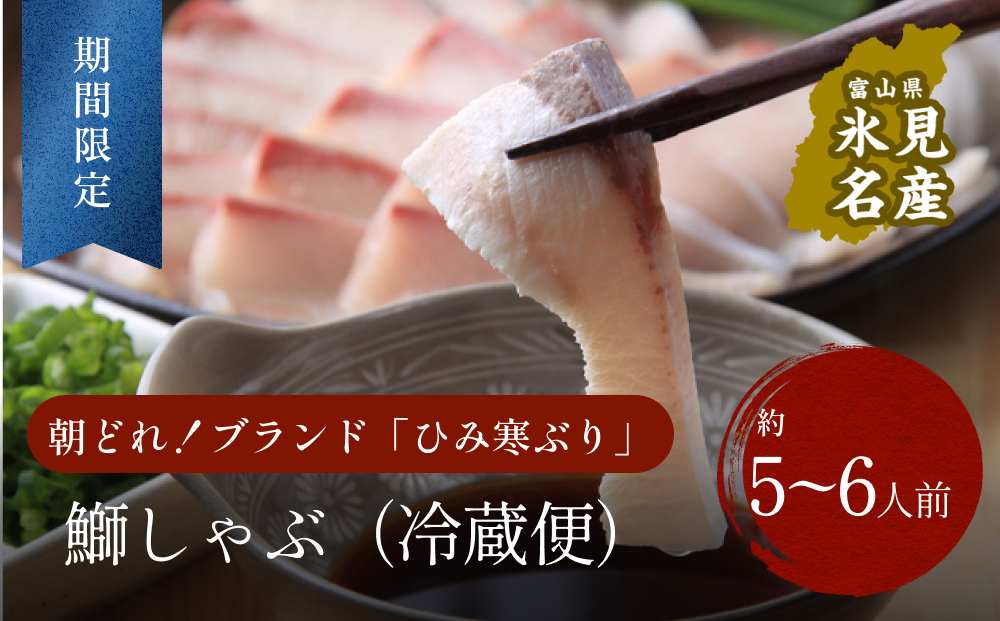 【先行予約】【期間限定】 ひみ寒ぶり ぶりしゃぶ用 5～6人