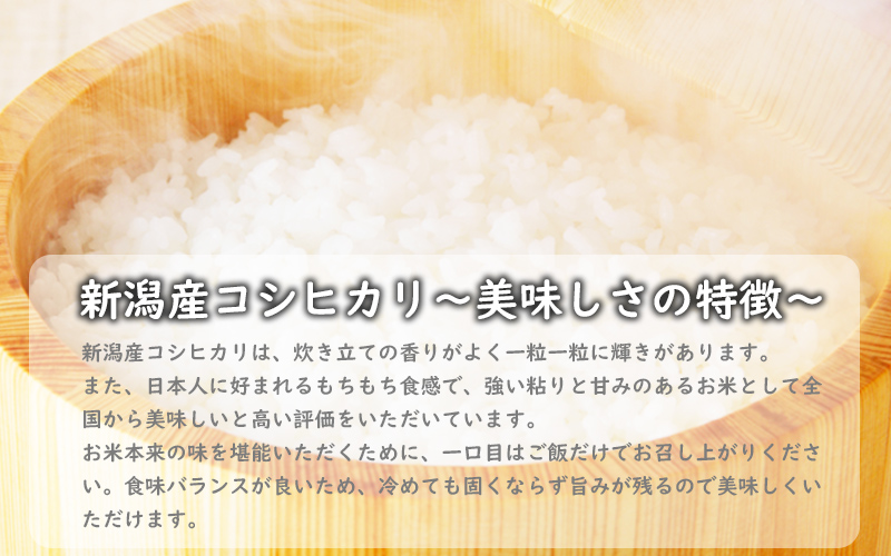 こしひかり 新潟産コシヒカリ 5kg 米 お米 こめ コメ ごはん 
