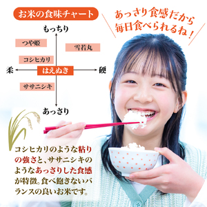 【令和8年産米】2026年10月下旬発送 はえぬき10kg 山形県産 【米COMEかほく協同組合】