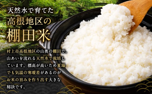 【新米受付・令和8年産米】【定期便：3ヶ月連続でお届け】新潟県村上市岩船産 棚田米コシヒカリ「たかねの花」 10kg×3ヶ月　1104005N