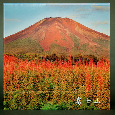 【ふるさと納税】富士山アクリルパネル　30SQ　夏【配送不可地域：離島】【1542273】