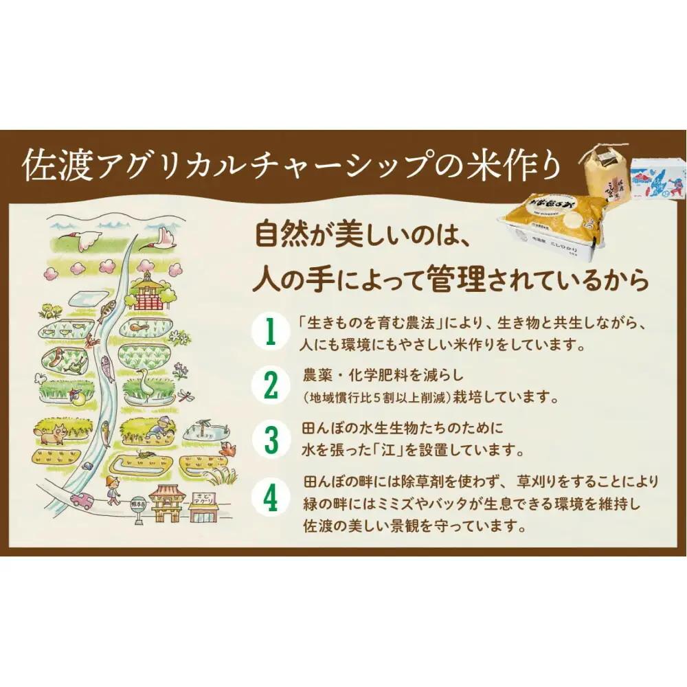 【定期便 3回 】コシヒカリ 精米 5kg 計15キロ | 新潟県 佐渡市 コシヒカリ